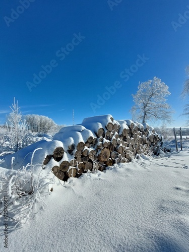 Holzstapel schneebedeckt