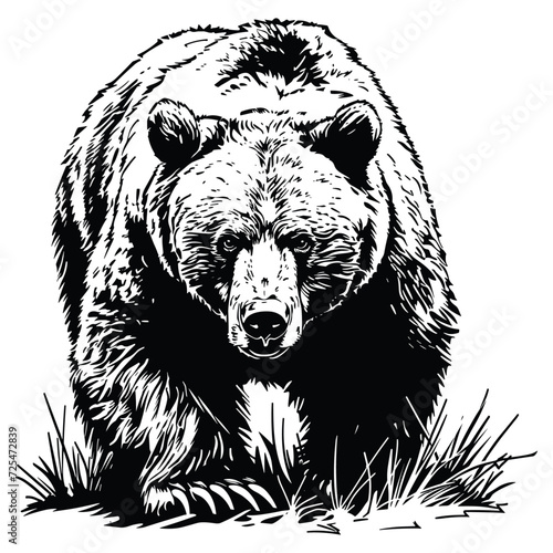 Silhouette of bear grizzly bear, vector illustration.