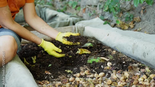 Wallpaper Mural Worm castings or vermicompost is the end-product of the breakdown of organic food waster by earthworms. Worm Far Torontodigital.ca
