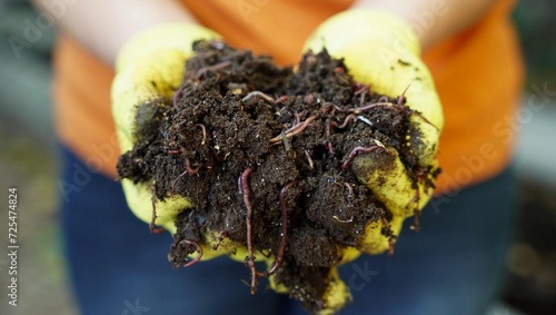 Fotografi A farmer holds red wiggler worms in his hand