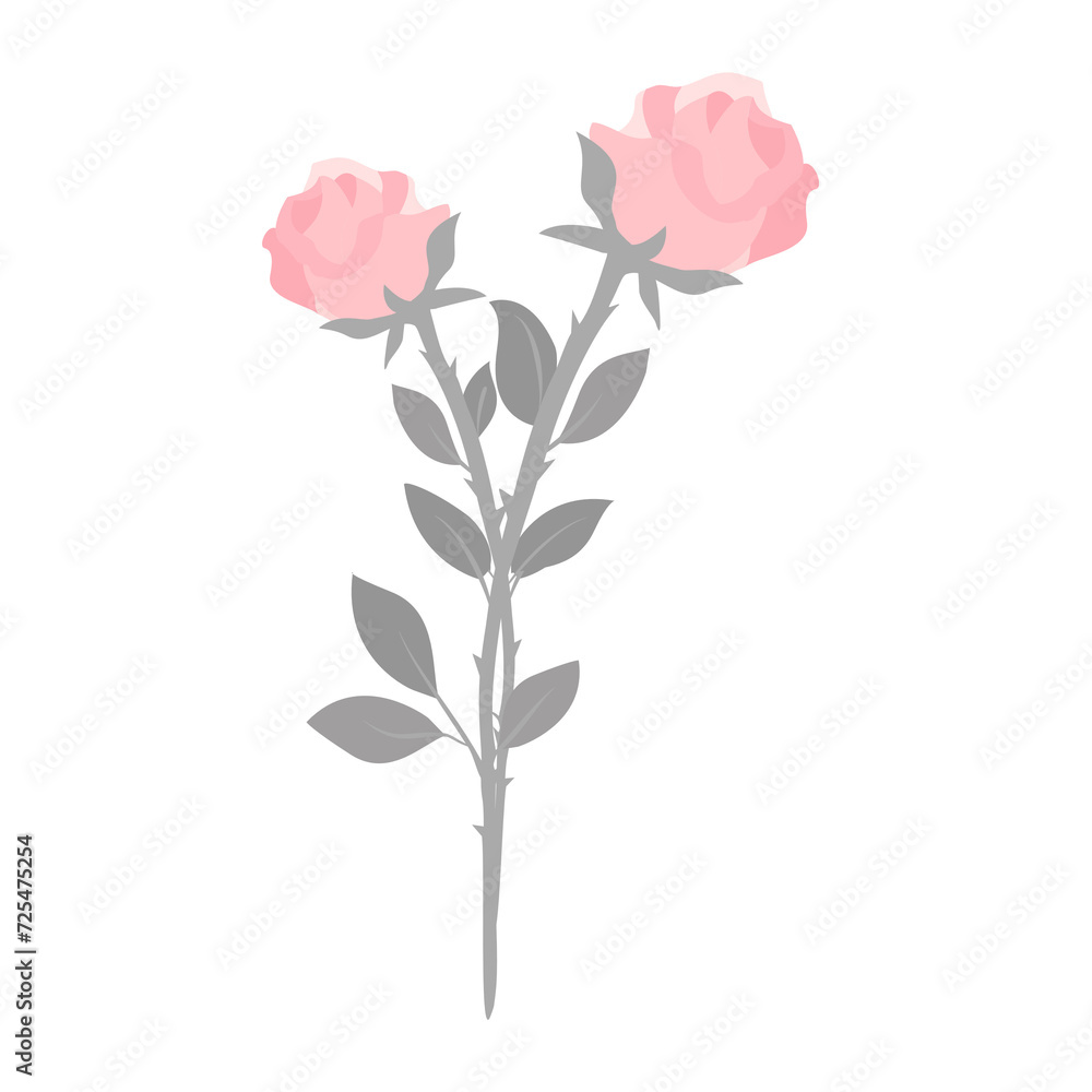 Obraz premium Valentine couple rose flower isolated on transparency background
