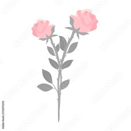 Valentine couple rose flower isolated on transparency background