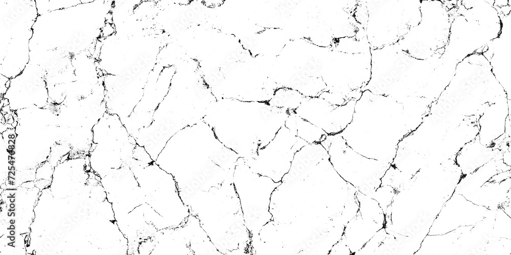 Fototapeta premium Grunge background black and white. monochrome texture. Vector pattern of cracks. scuffs, Abstract vintage surface.