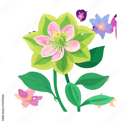 illustration of a pink flower