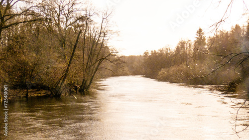 Fototapeta Naklejka Na Ścianę i Meble -  Rzeka Parsęta