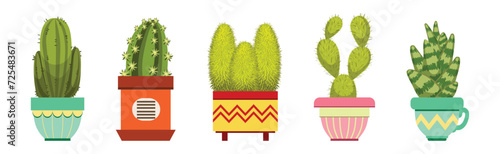 Green Spiky Cactus Plant Growing in Ornamental Ceramic Pot Vector Set
