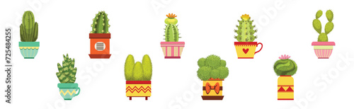 Green Spiky Cactus Plant Growing in Ornamental Ceramic Pot Vector Set