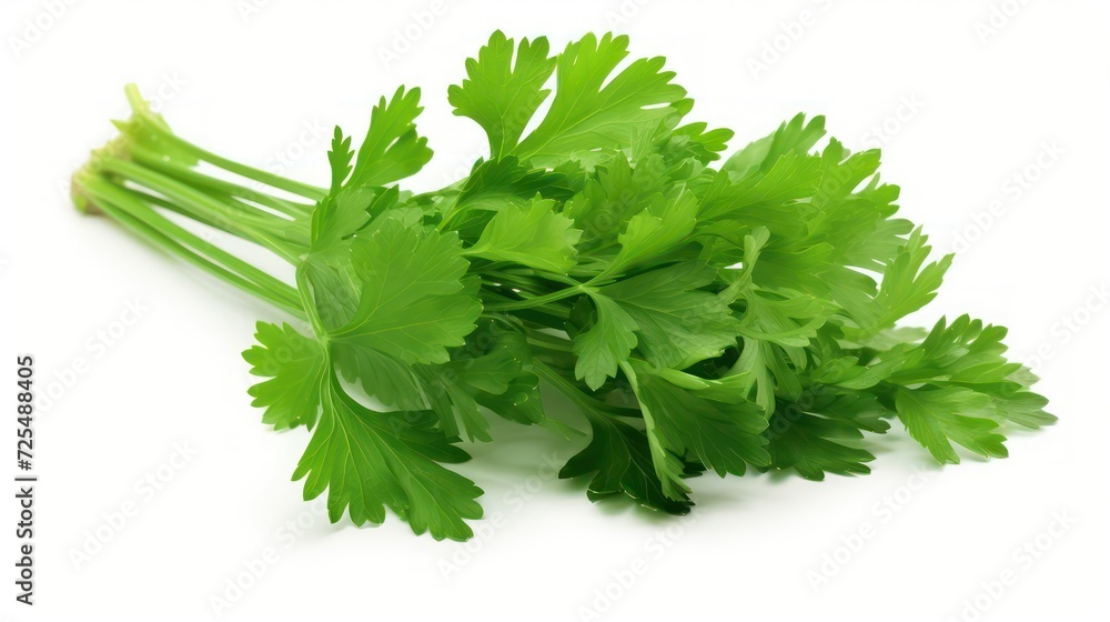 bunch of fresh parsley on white background