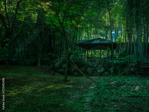 Japanese bamboo forest rest area
