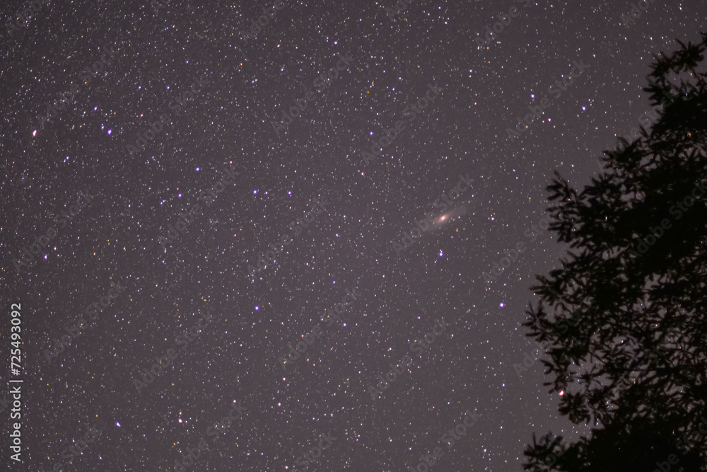 The Andromeda Galaxy in the night sky. Dark place with shining stars in summer The Andromeda Galaxy in the night sky. Dark place with shining stars in summer