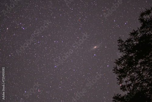 The Andromeda Galaxy in the night sky. Dark place with shining stars in summer