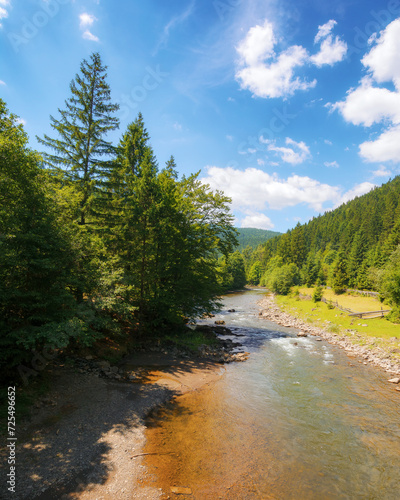 carpathian countryside scenery with river on a sunny day in summer. trees along the rocky shore and forest on the hill. mountainous landscape of ukraine beneath a blue sky with fluffy clouds