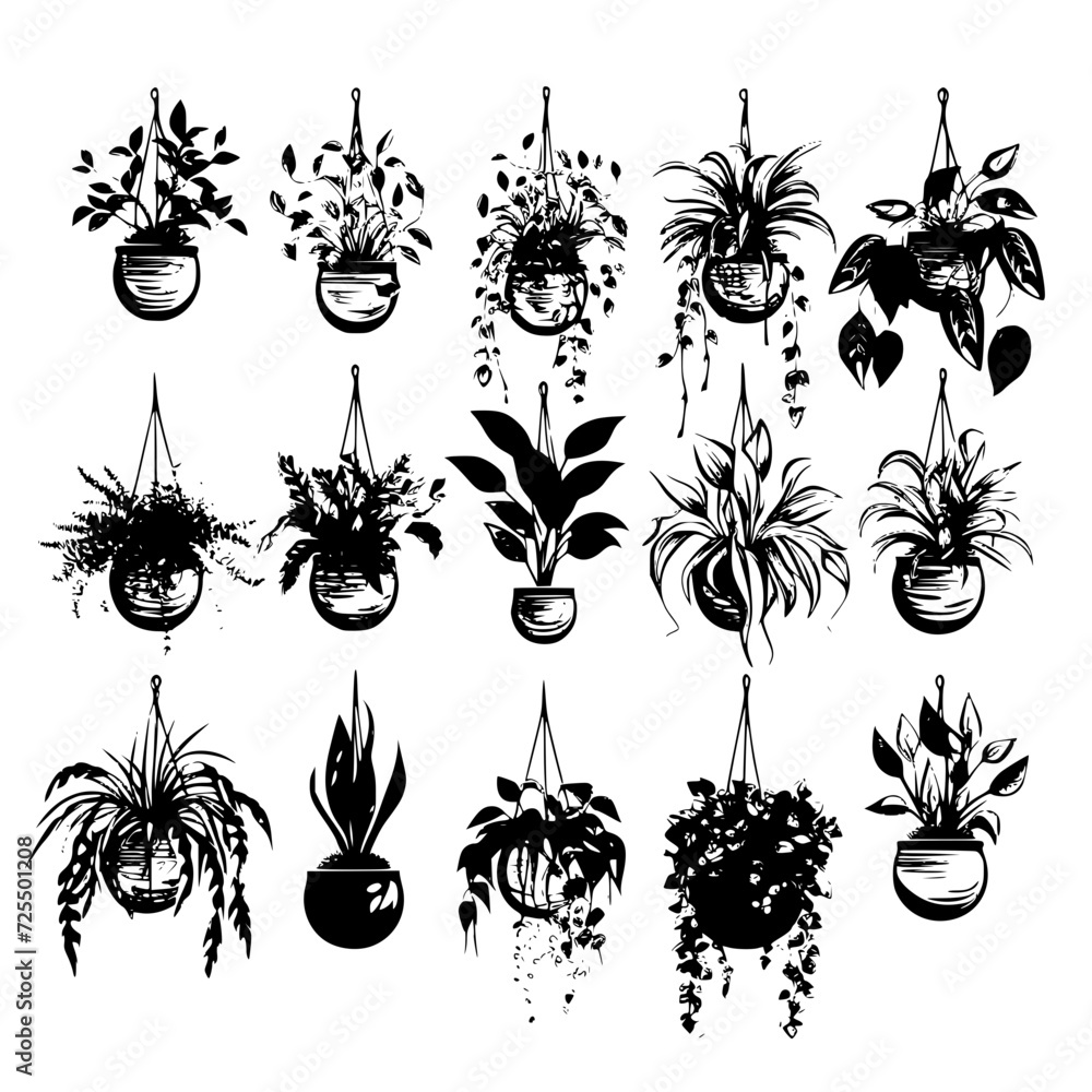 succulent-svg-cactus-svg-succulent-png-cactus-png-plant-svg-cactus