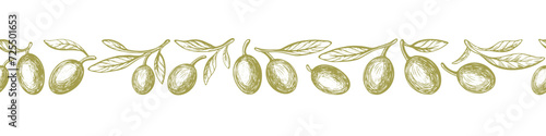Olive branch pattern. Vector ornament. Art sketch