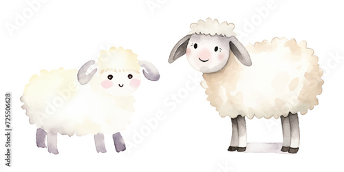 cute sheep watercolor vector illustration