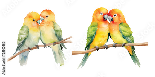 cute Watercolor A pair of Lovebirds