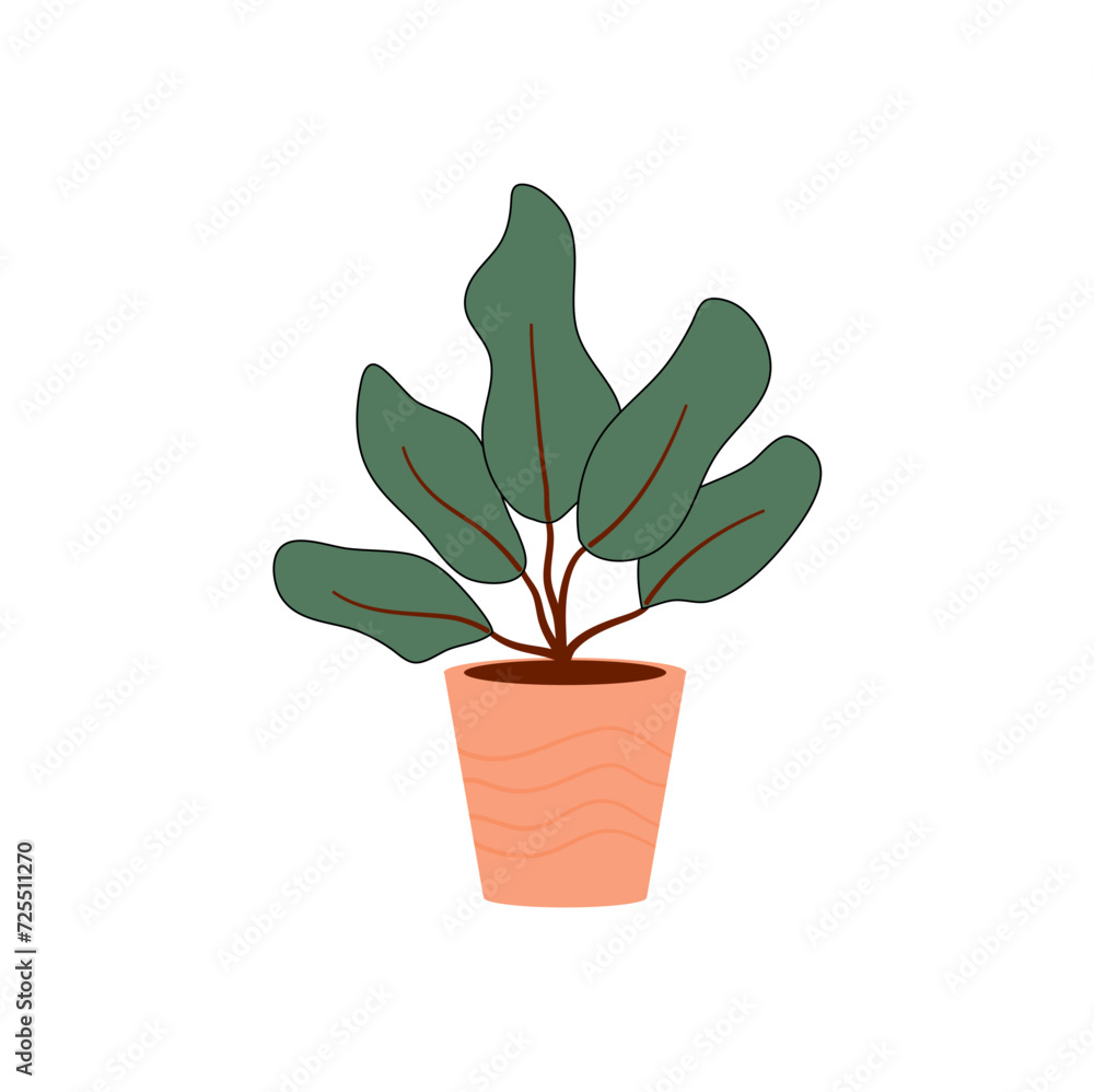 Obraz premium Decorative House Plant