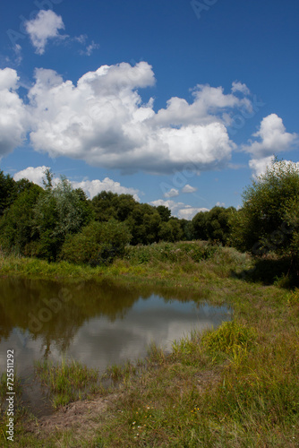 small forest pond, forest edge and lake on a hot summer day with cumulus clouds, summer forest landscape 