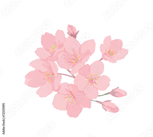 桜の花 © hisa-nishiya