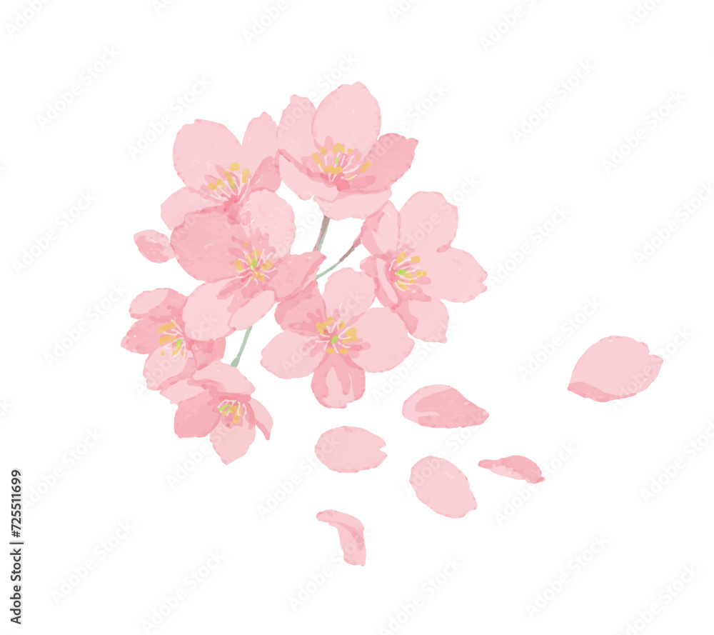 桜の花