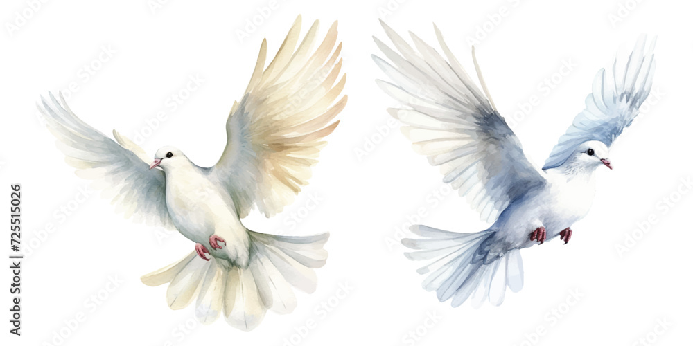 Fototapeta premium watercolor of dove bringing peace