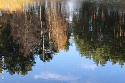 Reflection in the water of trees growing on the banks. Water reflection from forest. Lake. Abstract reflection of the trunks trees on a surface of the water with ripples. Surface of water with ripples