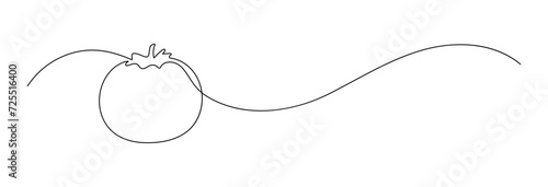 Tomato. Continuous line drawing. Vegetable frame border doodle. 
