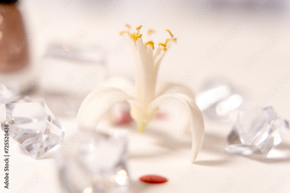 Nail polish dripping on a flower, abstract, background, Nail polish dripping on a flower, abstract, background,