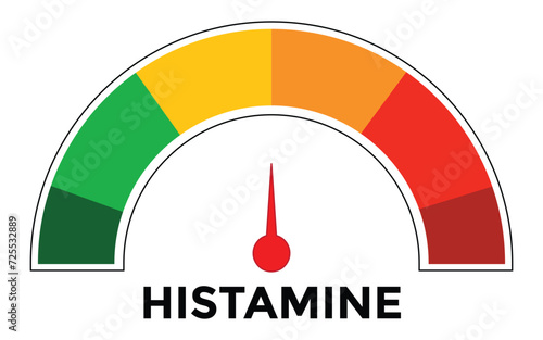 Scale with an arrow. The histamine measuring device. Sign tachometer, speedometer, indicator. Head of the man silhouette