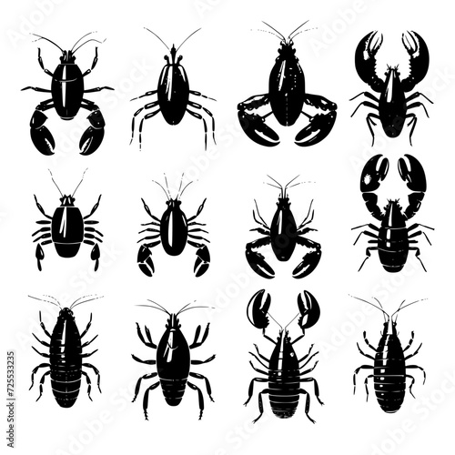 insect, ant, bug, vector, spider, fly, silhouette, animal, bee, beetle, nature, illustration, set, mosquito, black, collection, animals, pest, pattern, icon, butterfly, dragonfly, art, scorpion, insec