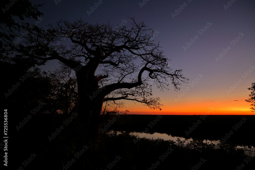Afrikanischer Busch - Krügerpark - Pioneer Dam / African Bush - Kruger Park - Pioneer Dam / Afrikanischer Busch - Krügerpark - Pioneer Dam / African Bush - Kruger Park - Pioneer Dam /