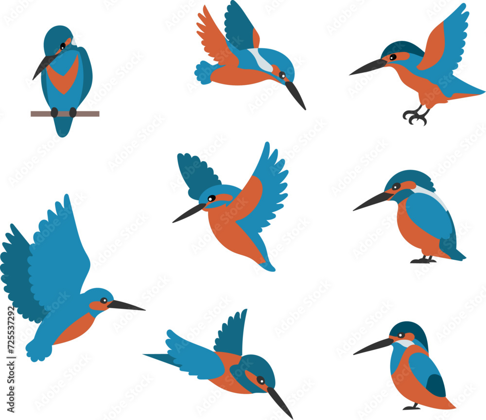 Obraz premium 물총새