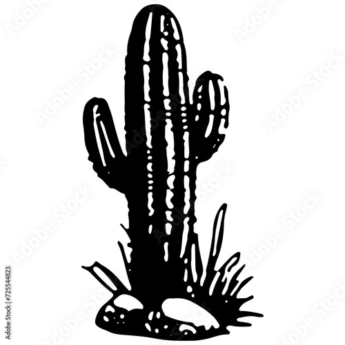 Cactus Illustration