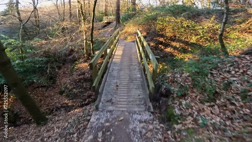 Downhill single track woodland mountain bike point of view 2