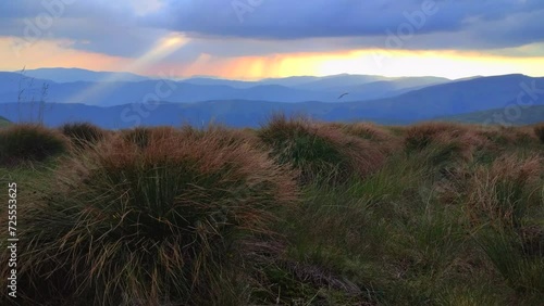 Beautiful Carpathian Mountains in Drahobrat, at sunset rime, Ukraine photo