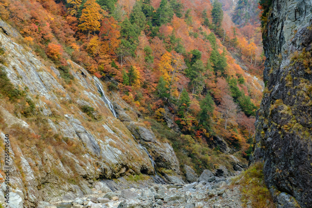 秋の峡谷