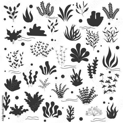 A set of silhouettes of marine plants and algae. Plants in the aquarium. Vector illustration.