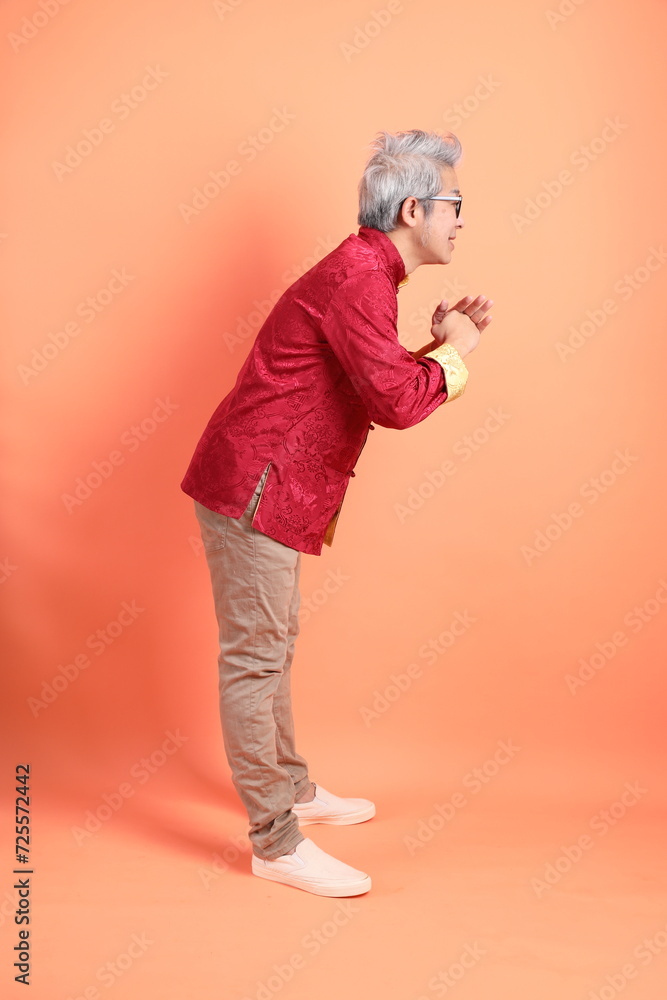 Fototapeta premium Happy Chinese new year