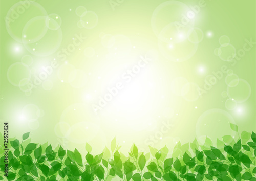 緑の葉っぱイメージ背景