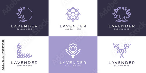 Set of abstract lavender flower logo icon vector