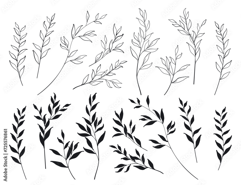 Curved branches with leaves. White leaves with a black outline and black silhouettes. Vector set of twigs. Bending twigs on a white background. Vector illustration. Curved branches with leaves. White leaves with a black outline and black silhouettes. Vector set of twigs. Bending twigs on a white background. Vector illustration.