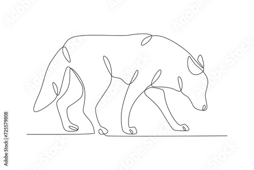A wolf smells food