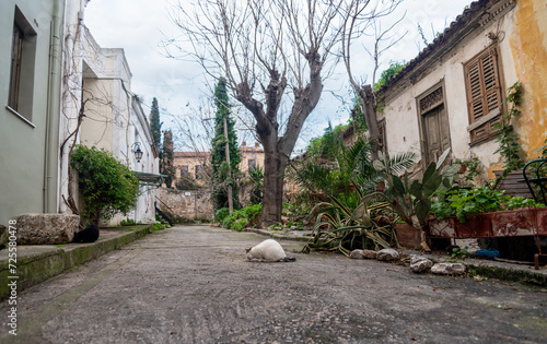 Fototapeta Naklejka Na Ścianę i Meble -  retro house on city street in Athens Greece