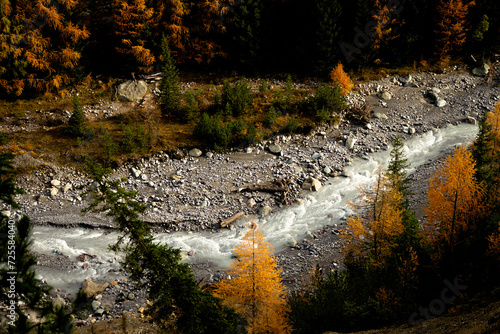 swiss national park, Parc Naziunal Svizzer, in autumn - engading, switzerland - rolling alps with orange green and red colours - river running straight through the swiss national park photo