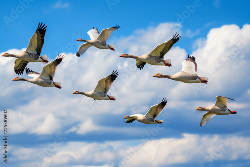 AI Generated Image. Flock of geese flying during migration