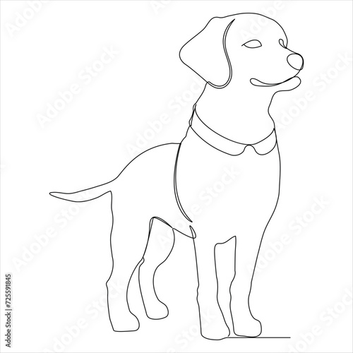 Fototapeta Naklejka Na Ścianę i Meble -  Continuous single line art drawing style of dog and single line dog drawing vector illustration