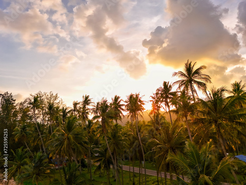 Silhouette Coconut with sunset on evening sky. Nature view  trees and cloud sky at sunset. Drone photography For background  long vacation  tourism and feeling warm