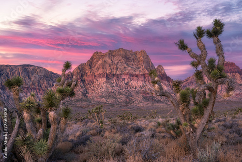 Photography Vibrant sunrise of Mount Wilson and Joshua trees in Red Rock Canyon Nevada