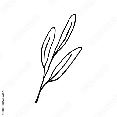 Single Leaf Line Art Illustration Isolated in White. Floral decoration branch leaf plant line. Modern single line art  aesthetic contour. Perfect for home decor such as posters  wall art  tote bag etc