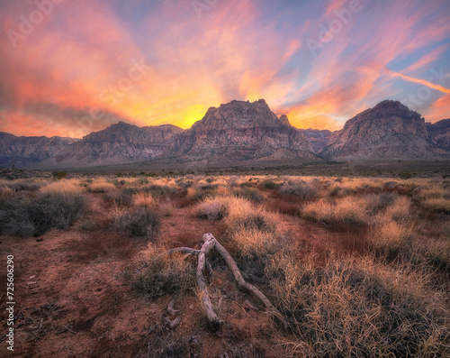 Desert sunset in Red Rock Canyon Conservation Area  © Michael